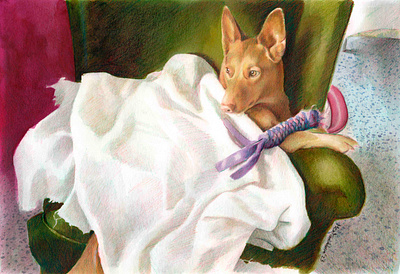 Hound dog realistic portrait drawing acuarela dog dogdrawing dogillustration dogportrait mentiradeloro pencil portrait retrato watercolor watercolour