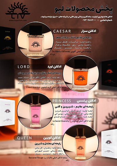 Perfum Catalog graphic design