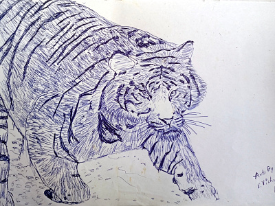 Tiger animal carnivorous dangerous forest hunter jungle pen pen art running tiger serious tiger tiger walking tiger wild wild animals