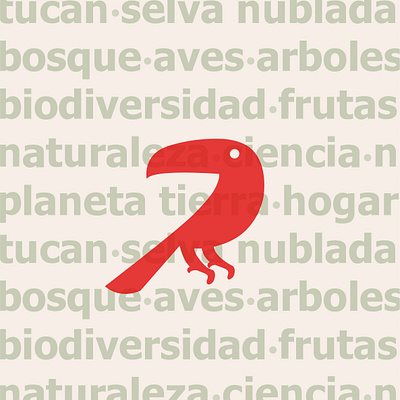Aves tropicales de Latino America graphic design illustration logo