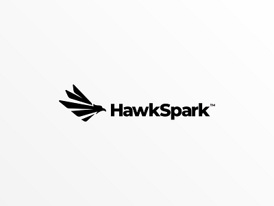 Hawk Logo For HawkSpark app icon branding eagle flat hawk icon logo monogram simple logo