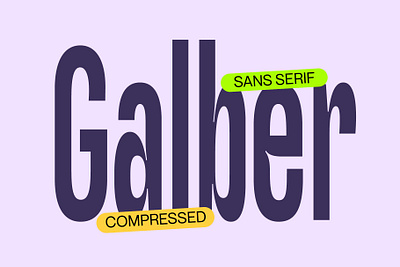 Galber Font - Craft Supply Co brush creative design elegant font illustration lettering logo typeface ui