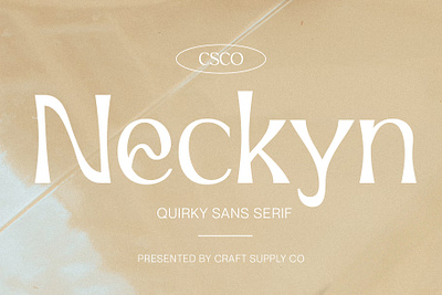 Neckyn Font - Craft Supply Co brush creative design elegant font illustration lettering logo typeface ui