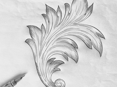Acanthus leaf flourishes illustration sketch