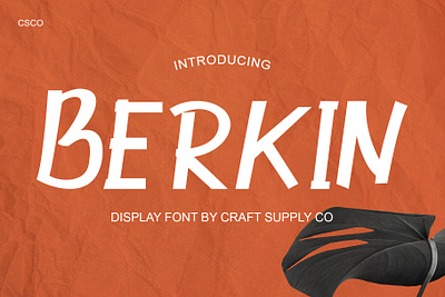 Berkin Font - Craft Supply Co brush creative design elegant font illustration lettering logo typeface ui