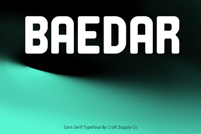 Baedar Font - Craft Supply Co brush creative design elegant font illustration lettering logo typeface ui