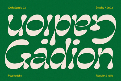 Gadion Font - Craft Supply Co brush creative design elegant font illustration lettering logo typeface ui