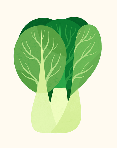 Bok Choy bok choy cute editorial food art fresh green illustrated food illustration stylized vegetable veggies