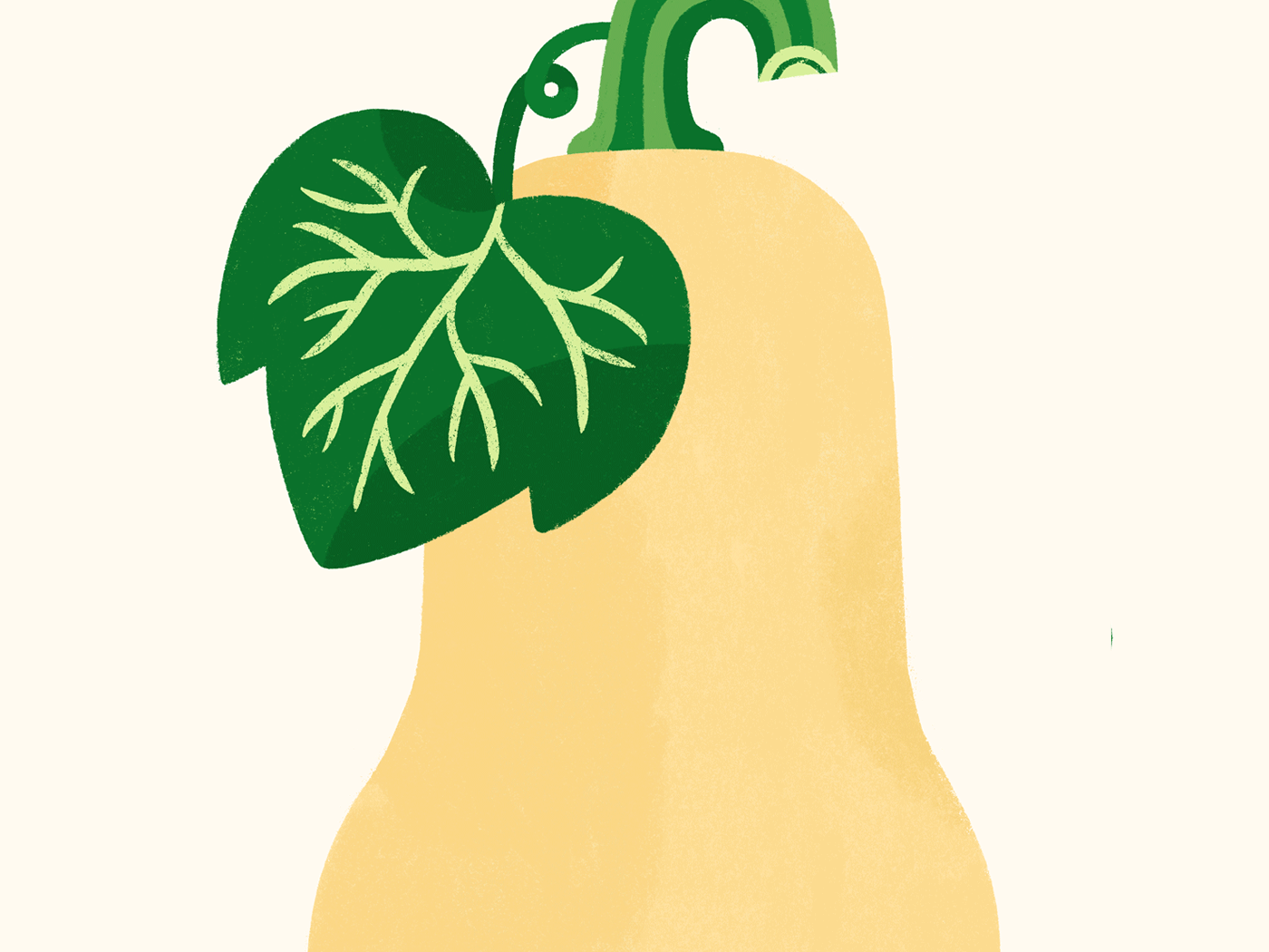 Butternut Squash by Essi Kimpimäki on Dribbble