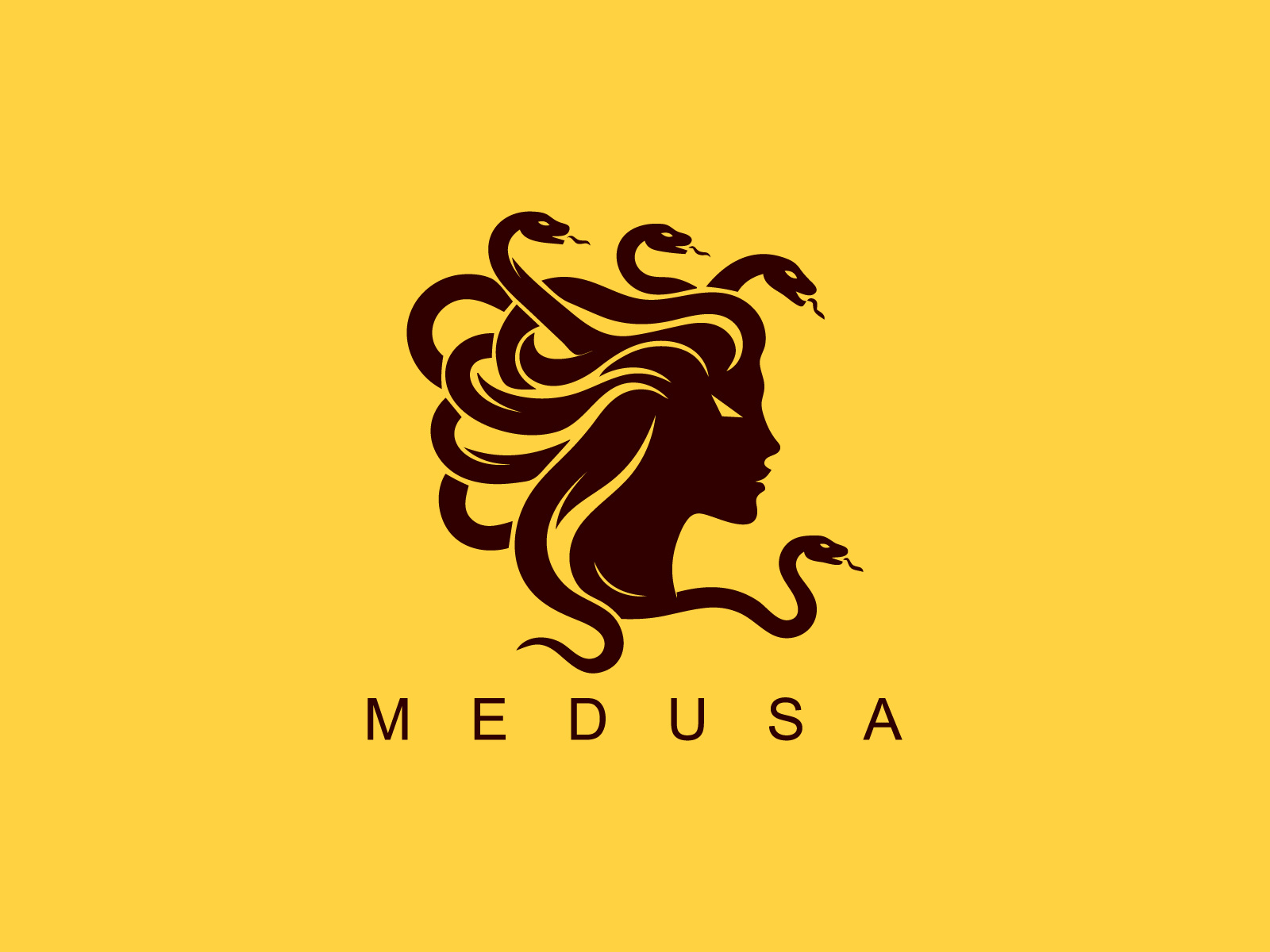 Medusa Logo by Austin Naveed on Dribbble