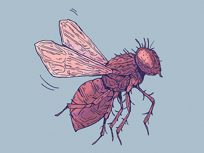 Inktober day 30: Rush art cartoon character character design drawing fly illustration inktober insect