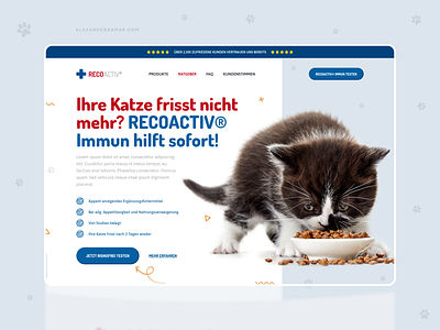 Recoactiv - Food supplements for pets alexandersamar cat design dog pet ui uiux uiuxdesign vitamins webdesign