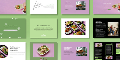 Plant Box ~ About Project
