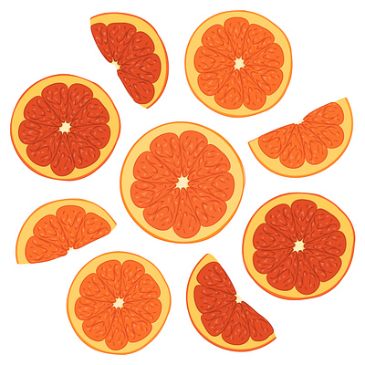 Векторная иллюстрация свежей цитрусовой нарезки апельсинов wedges