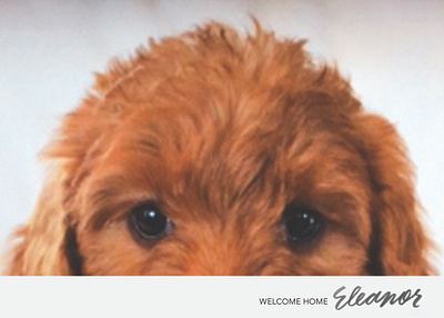 Just For Fun: Welcome Home, Pup hand lettering