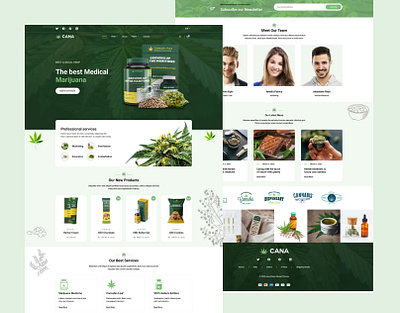 Ayurveda Website Design - UI/UX Web Design For Ayurvedic Website ayurveda ayurveda website ayurveda website designs ayurvedic ayurvedic website designs herbal website design