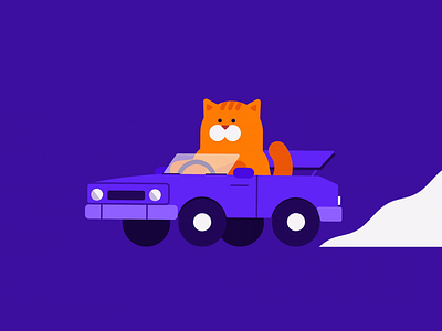 Racer Cat after effects animals animation car cartoon cartoon animation cat character animation character design cute motion 2d motion design motion graphics racing riding vector art vector illustration