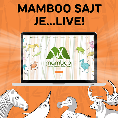 Mamboo Creative Content bamboo brand identity branding content creative mamboo posts social networks