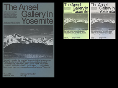 ANSEL ADAMS EXPLORATION design ui web design website