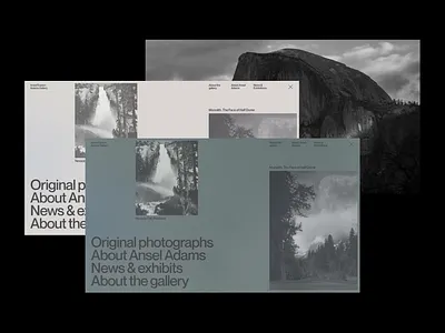 ANSEL ADAMS MENU ui uxui web design website