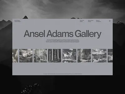 ANSEL ADAMS HOMEPAGE animation design ui uxui website design