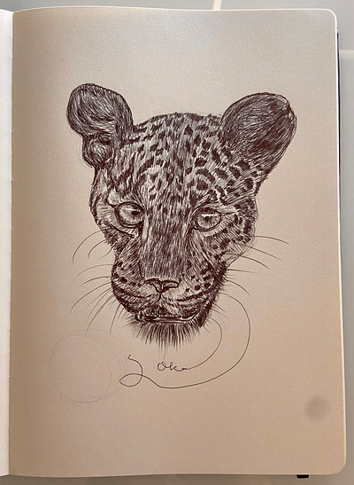 Ballpen Leopard 🐆 ballpen design drawing illustration leopard sketch 🐆