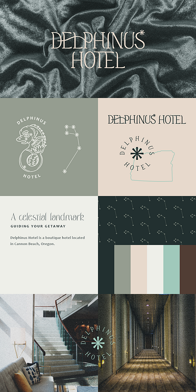 Delphinus Hotel Branding badge boutique brand branding graphic design hotel illustration logo