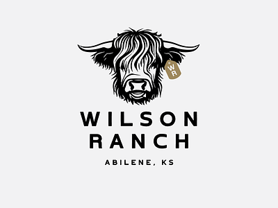 Ranch Brand designs, themes, templates and downloadable graphic elements on  Dribbble