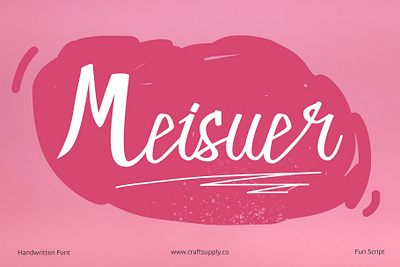 Meisuer Font - Craft Supply Co brush creative design elegant font illustration lettering logo typeface ui