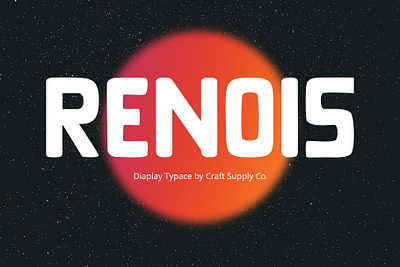 Renois Font - Craft Supply Co brush creative design elegant font illustration lettering logo typeface ui