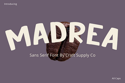 Madrea Font - Craft Supply Co brush creative design elegant font illustration lettering logo typeface ui