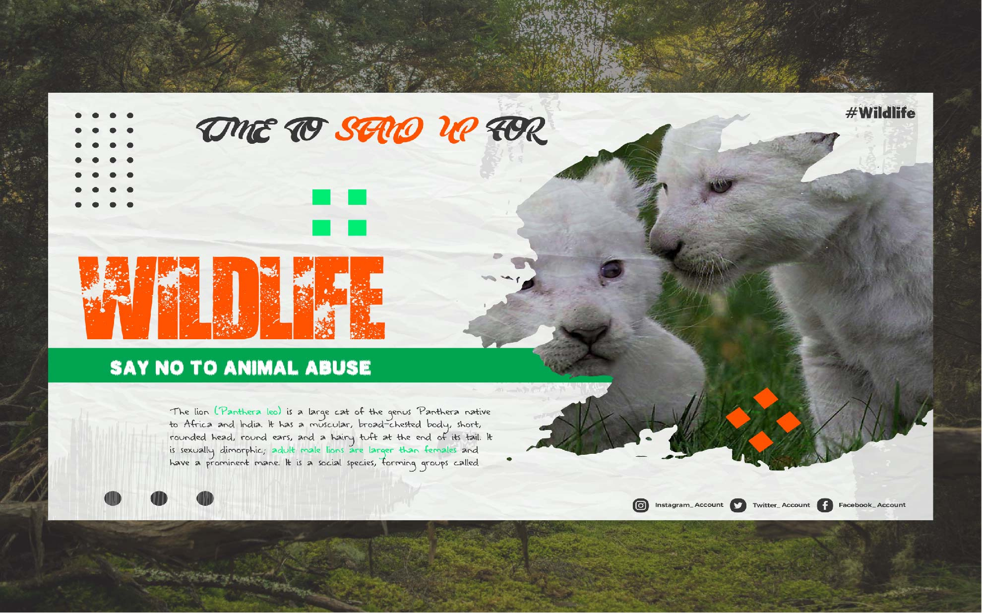 Flyer Design Templates social medial