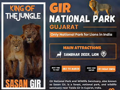 Wildlife Safari (Gir National Park) branding canva graphic design