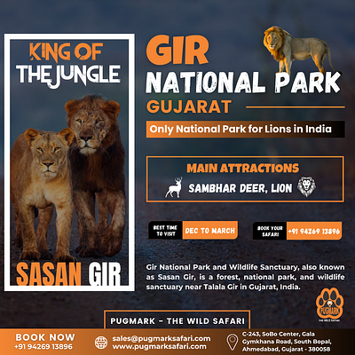 Wildlife Safari (Gir National Park) branding canva graphic design