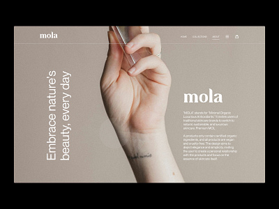 Mola Natural Skincare Brand Website awwwards branding premium