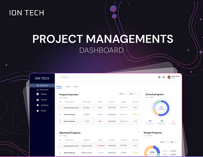 Project Management Dashboard project managements dashboard