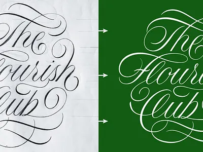 Flourishes & Vectors I flourishes lettering vector