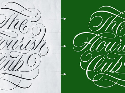 Beautiful Flourishes and Swooshes - Creative Alys