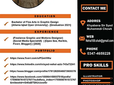 (CV) Professional Design cv graphic design illustration vector