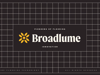 Broadlume Rebrand b2b b2b branding brand identity brand strategy branding design flooring focus lab identity logo logo design visual identity
