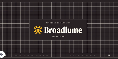 Broadlume Rebrand b2b b2b branding brand identity brand strategy branding design flooring focus lab identity logo logo design visual identity
