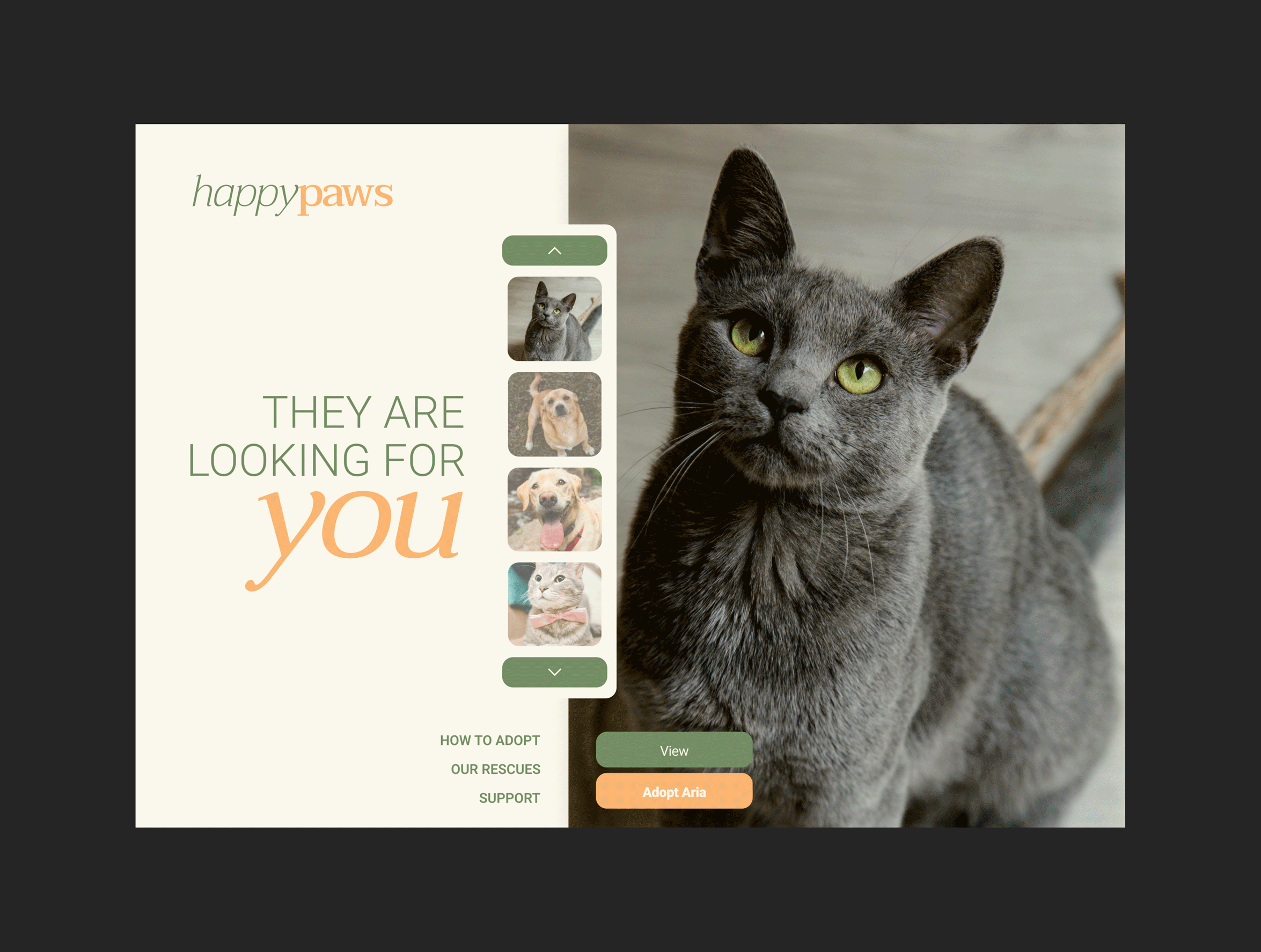 HappyPaws — Animal Shelter Website branding design graphic design ui ux website