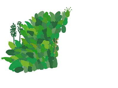 Mountain Forest flowapp forest nature sketches