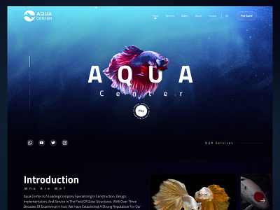 Aqua Center Oman graphic design illustration ui web design