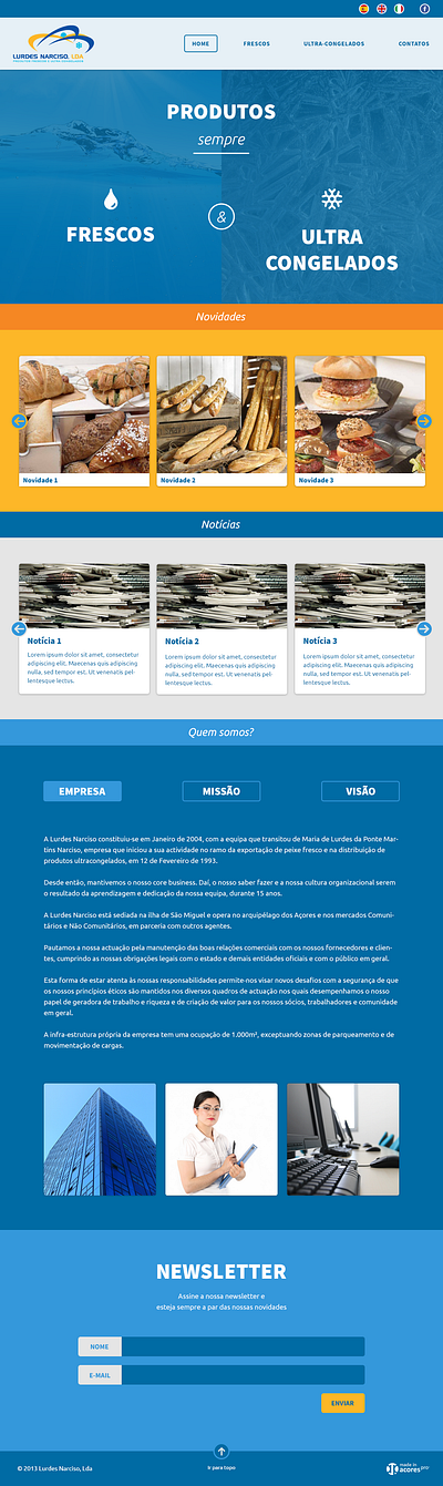 Lurdes Narciso Website - 2013 webdesign website