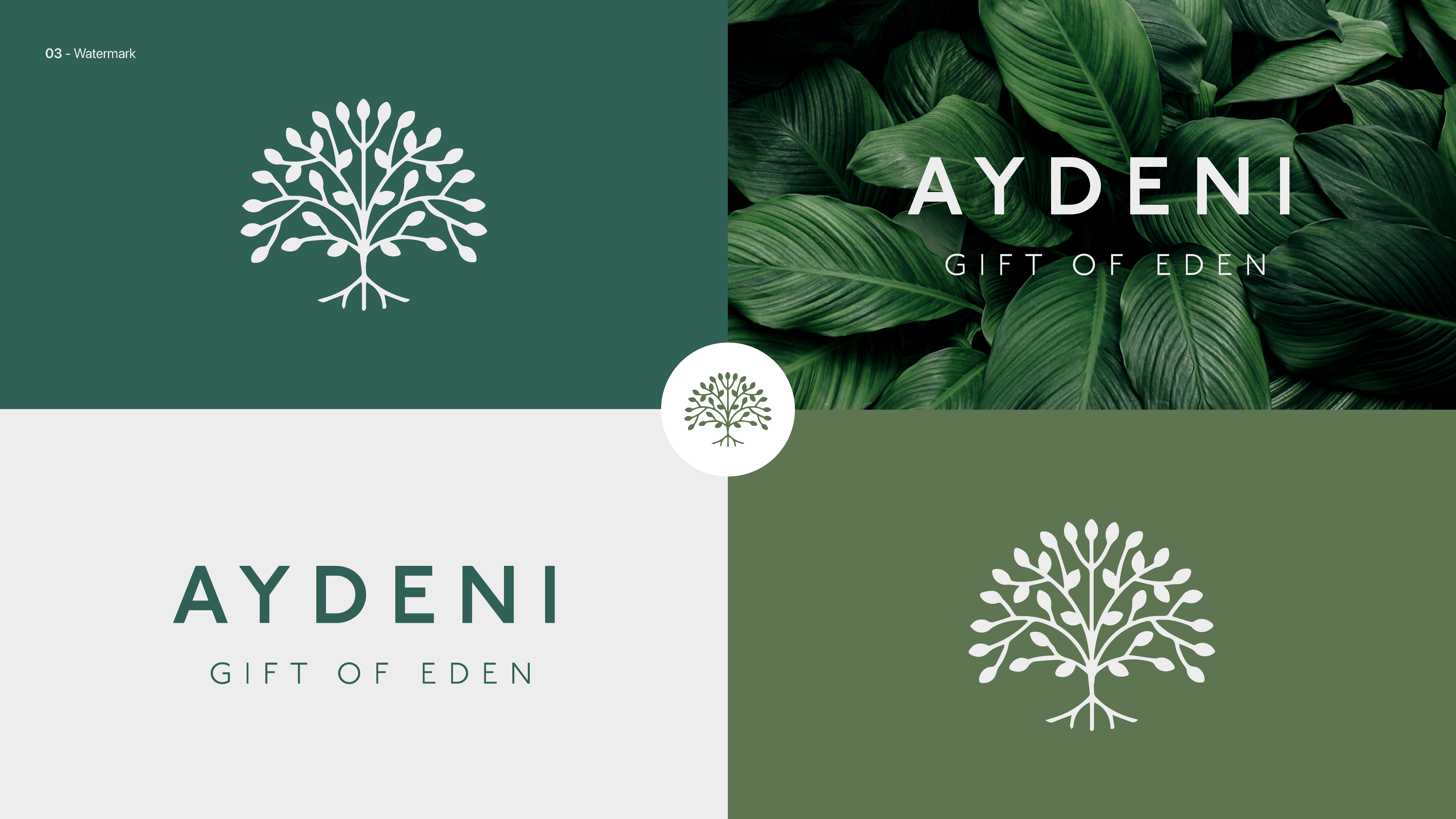 Aydeni Skincare Branding beauty brand identity branding graphi illustration logo skincare typography