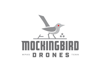 Mockingbird Drones bird branding camera design drone fly graphic design identity illustration logo logo mark memphis mockingbird nature photo photography record tennessee video videography