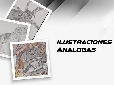 Ilustraciones Análogas drawng ilustración