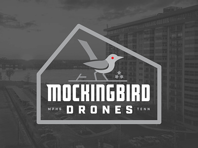 Mockingbird Drones animal bird branding design drone fly graphic design identity illustration logo logo mark memphis mockingbird nature photo photography tennessee video videography
