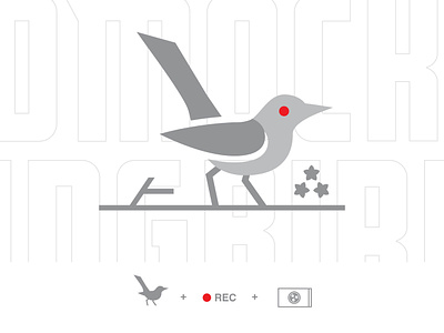 Mockingbird Drones bird branding design drone fly footage graphic design identity illustration logo logo mark memphis mockingbird photo photography record tennessee video videography